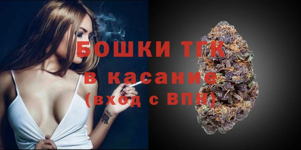 МДПВ Горнозаводск