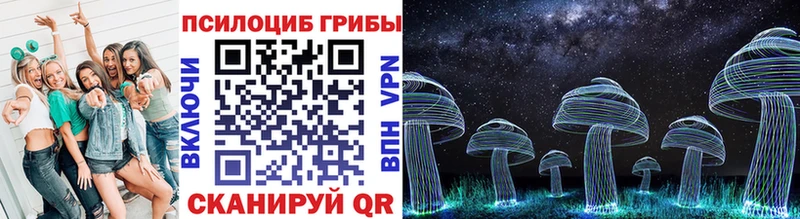 Псилоцибиновые грибы мухоморы  закладки  Опочка 